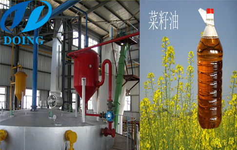 菜籽油加工設備