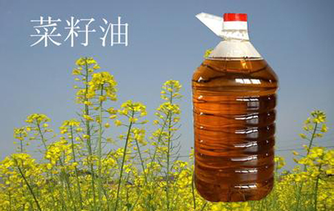 菜籽油市場(chǎng)行情