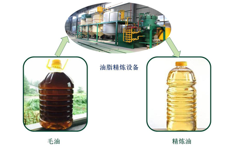 植物油精煉設備