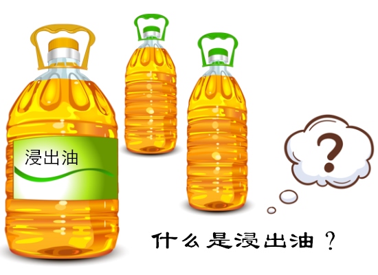 什么是浸出油？