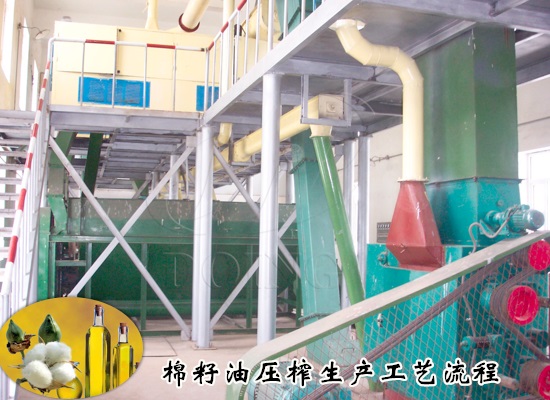 棉籽油壓榨生產(chǎn)工藝流程是什么？需要哪些棉籽油加工設(shè)備？
