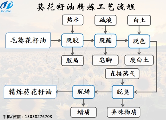 怎么精煉葵花籽油？葵花籽油精煉工藝流程是什么？