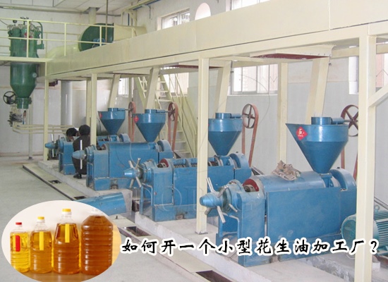 如何開一個(gè)小型花生油加工廠？需要注意哪些事項(xiàng)？