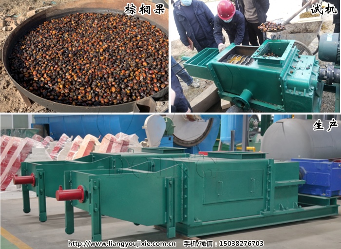 棕櫚油榨油機