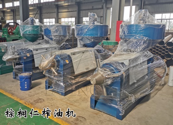 500千克/小時棕櫚仁榨油機
