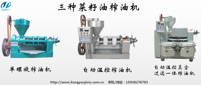 菜籽油榨油機