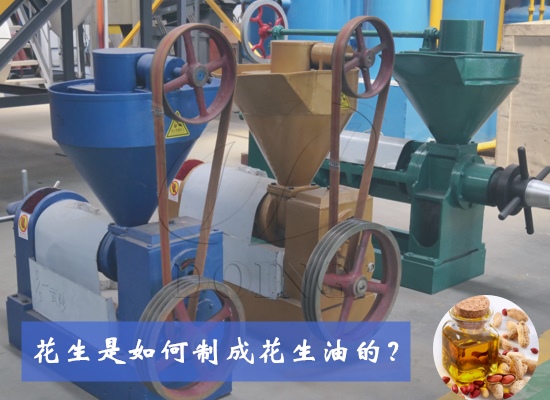 花生是如何制成花生油的？花生油生產(chǎn)制作工藝有幾種？