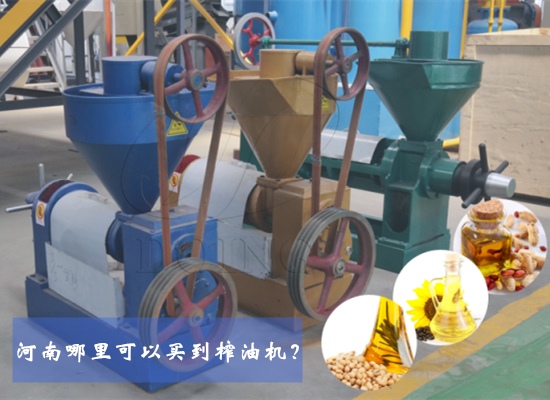 河南哪里可以買到榨油機(jī)？
