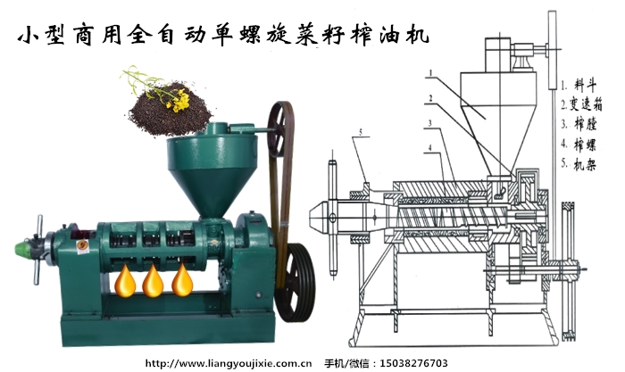 菜籽榨油機(jī)