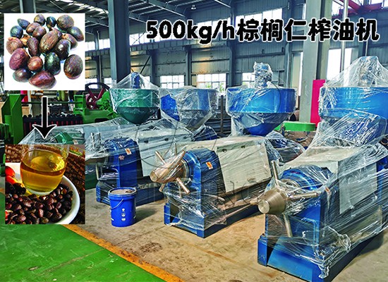 加納客戶500kg/h棕櫚仁榨油機順利投產(chǎn)！