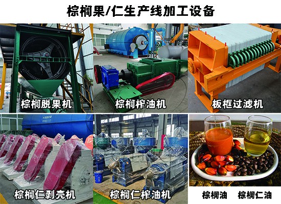 喜報(bào)：加納客戶(hù)2t/h棕櫚果+棕櫚仁榨油生產(chǎn)線(xiàn)已正式投產(chǎn)運(yùn)營(yíng)！