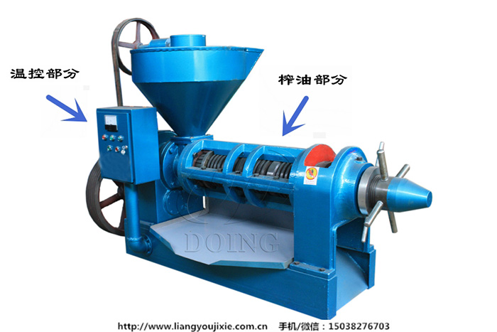 自動(dòng)溫控榨油機(jī)
