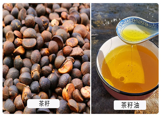 簽單篇：浙江客戶在國瑞油脂下單購買一臺自動(dòng)溫控榨油機(jī)