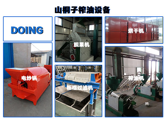 投資山桐子油加工廠需要多少錢？