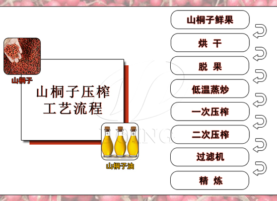 山桐子榨油技術(shù)升級(jí)完善產(chǎn)品矩陣，河南國瑞駛向發(fā)展快車道！