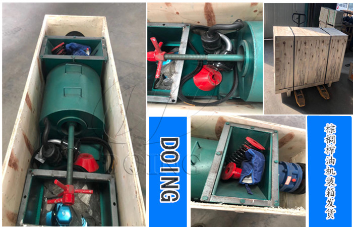 棕櫚油榨油機