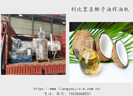 國瑞椰子油榨油機(jī)發(fā)往利比里亞客戶工廠