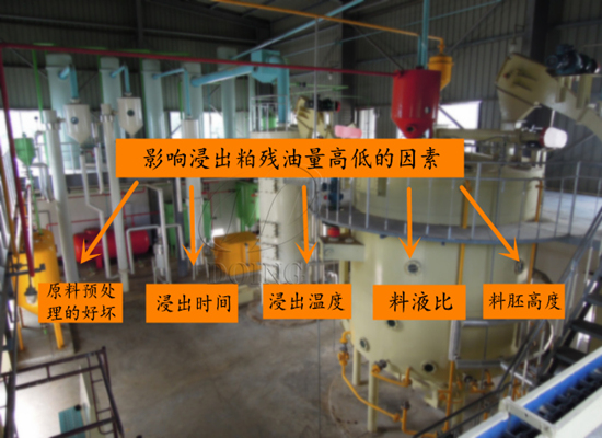 影響浸出粕殘油量高低的因素有哪些？