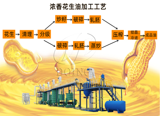 濃香花生油是什么意思？濃香型花生油加工工藝是怎樣的？