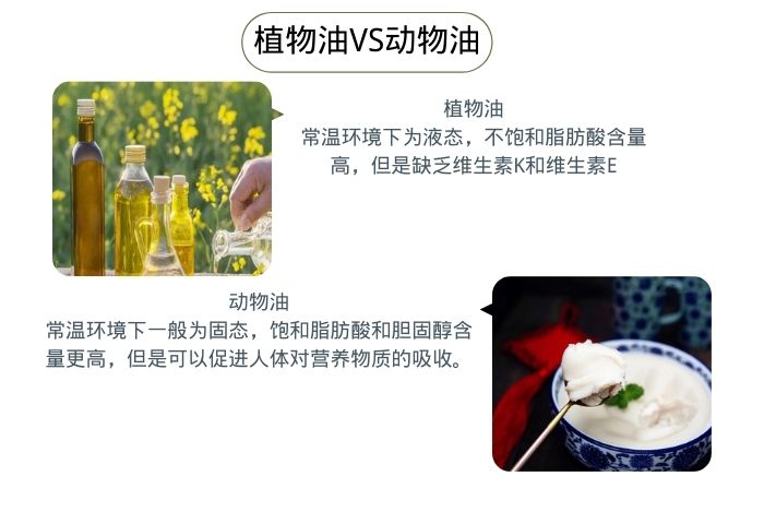 植物油VS動(dòng)物油