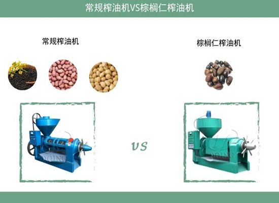 常規(guī)榨油機(jī)可以榨棕櫚仁嗎？