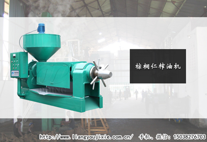 棕櫚仁榨油機