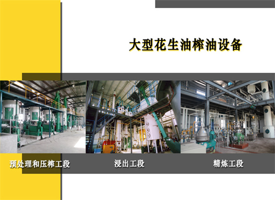 從無到有,建立一個花生油加工廠需要多少時間?