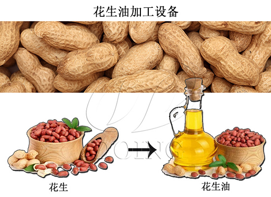 花生油要達(dá)到一級(jí)油標(biāo)準(zhǔn)需要經(jīng)過(guò)哪些步驟？