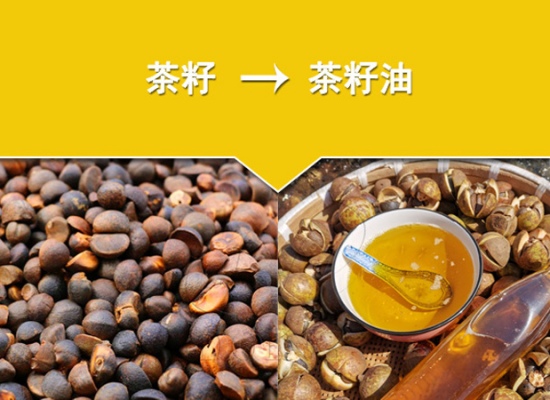 山茶籽油加工生產(chǎn)線的價(jià)格與哪些因素有關(guān)?