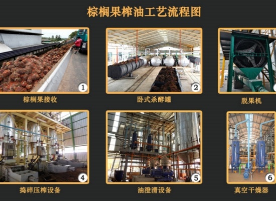 棕櫚油壓榨設(shè)備怎么選：從單臺(tái)設(shè)備到全自動(dòng)產(chǎn)線，一文讀懂6種常見(jiàn)棕櫚油壓榨生產(chǎn)線！