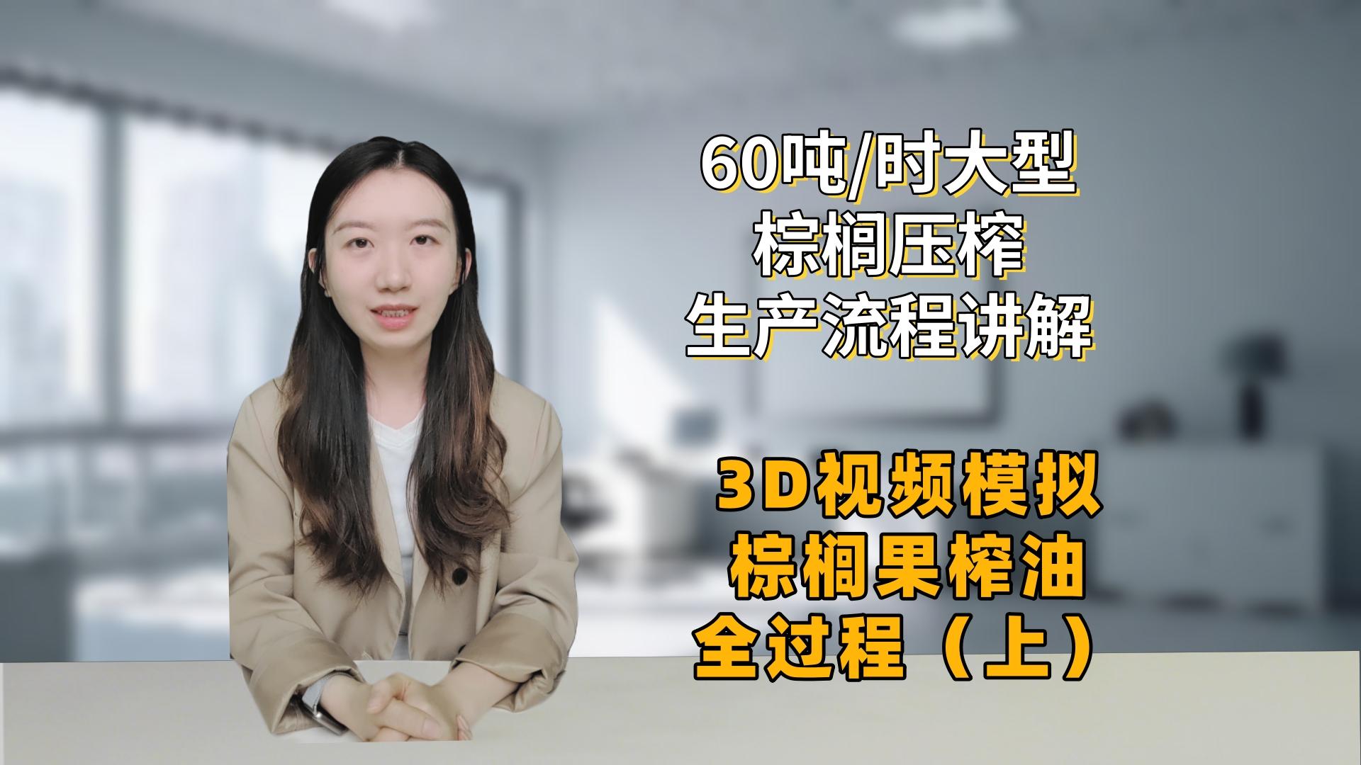 60噸/時(shí)大型棕櫚油生產(chǎn)流程講解--3D視頻模擬棕櫚果榨油全過程（上）