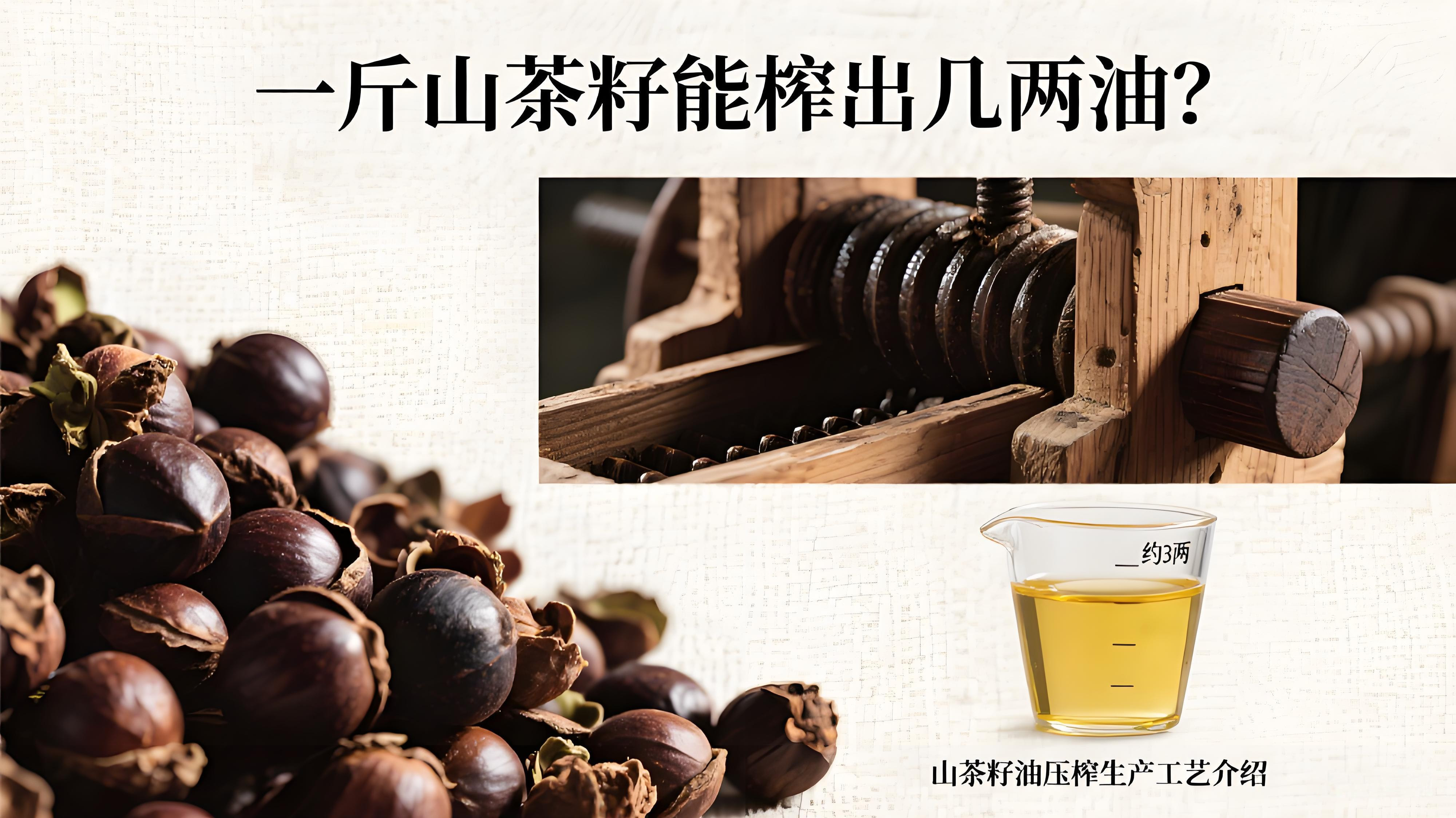 山茶油