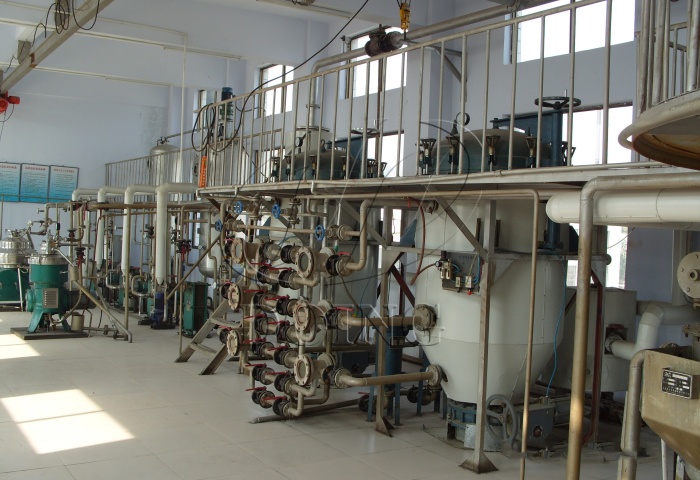 100噸連續(xù)精煉油生產(chǎn)線