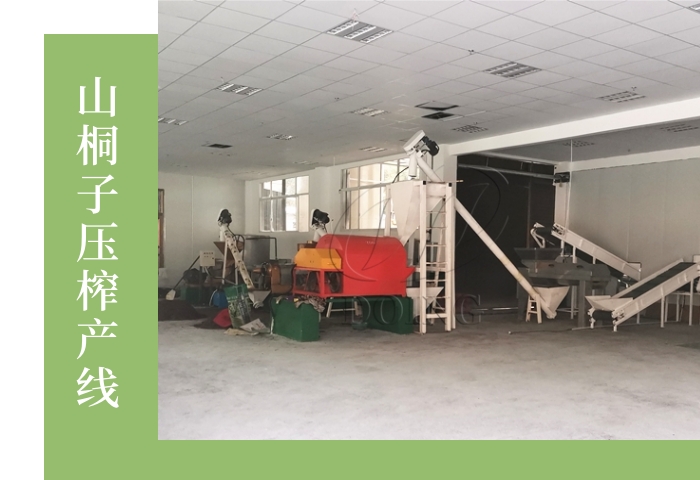 山桐子壓榨產(chǎn)線