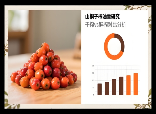 1噸山桐子鮮果能榨多少油？干榨與鮮榨出油量對(duì)比