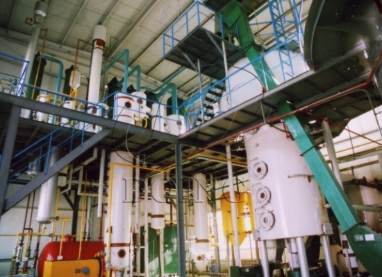 大型棕櫚仁油加工廠優(yōu)選：棕櫚仁油預(yù)榨浸出工藝流程詳解