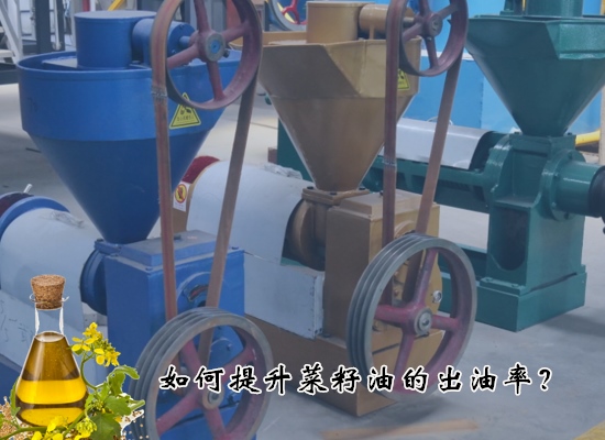 如何提升菜籽油的出油率？