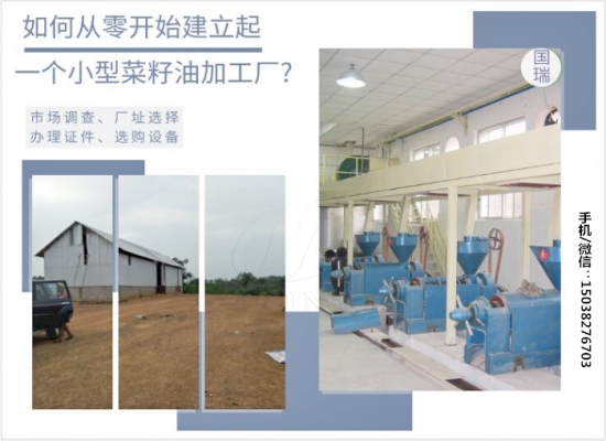 如何從零開始建立起一個小型菜籽油加工廠?