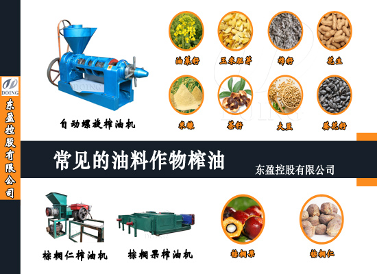 常見的油料作物有哪些？怎么榨油？