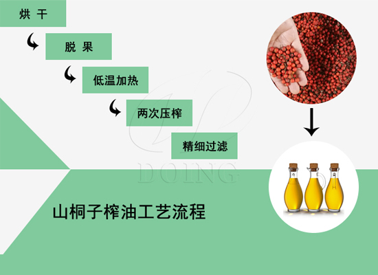 山桐子油加工工藝流程詳解，快來點(diǎn)擊了解！