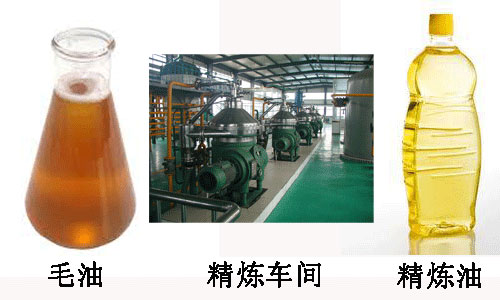 毛油懸浮物對浸出設(shè)備的影響
